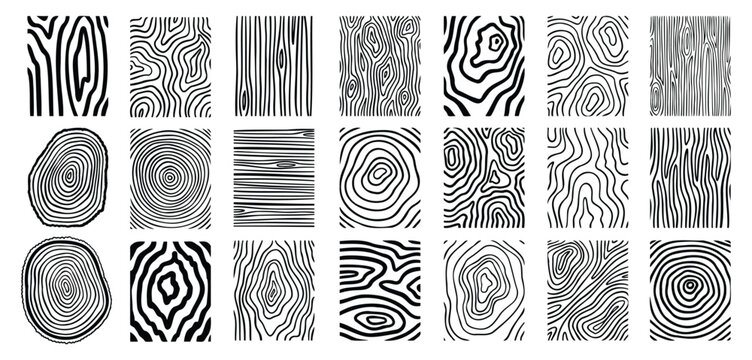 Wood lines texture material doodle hand drawn line set. Rings and circles tree trunk geometric curve, wave contour. 