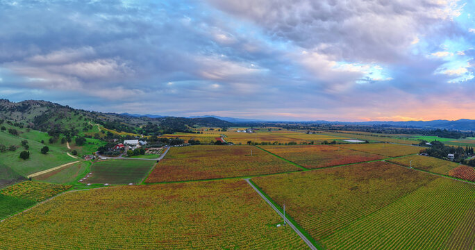 Aerial View of Vineyard in Napa Valley, California