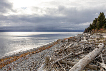A tranquil scene on the south shore of the Gaspesie Peninsula in Quebec, showcasing driftwood-strewn beaches under a moody sky.