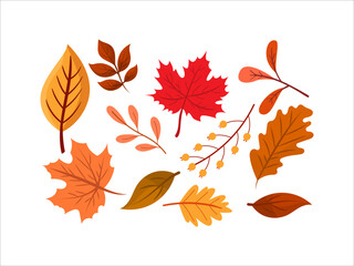 Flat illustration of autumn leaves and natural elements with hand drawn style, perfect for seasonal design, invitations, greeting cards, and nature inspired creative artwork projects.