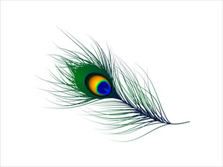 Obraz premium Peacock feather 3D realistic illustration on white background, elegant decorative element with iridescent blue and green colors perfect for luxury, art, and design projects.
