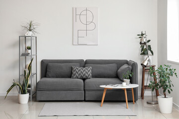 Interior of modern stylish living room with sofa, shelving unit and different houseplants
