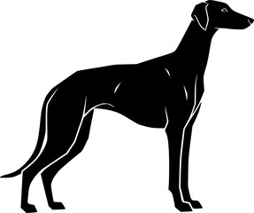 Obraz premium Elegant Dog Silhouette Stance on White Background, Isolated Graphic Element 