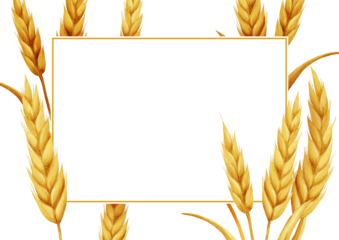 Watercolor frame with golden wheat ears arranged around a large central space on a white background. 