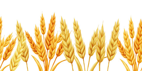 Watercolor clipart set of golden wheat ears and grain botanical elements on a white background. Hand-painted cereal illustrations suitable for labels, packaging, templates and print projects. © _Julia_red