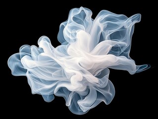 Fototapeta premium A delicate, translucent white fabric flows and swirls in an abstract form against a stark black background.