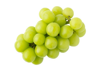 透明背景（png）に1房のシャインマスカット