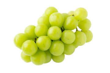 透明背景（png）に1房のシャインマスカット