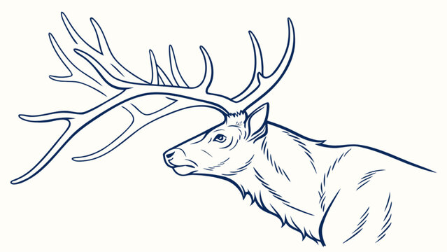 Illustration of a majestic elk with large antlers in a detailed line drawing style artwork design