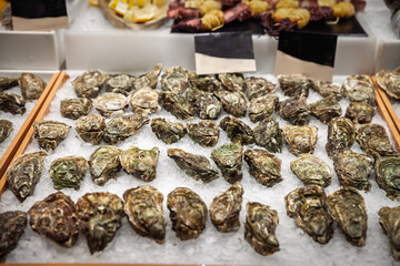 Display of fresh oysters arranged on crushed ice at a seafood market in Barcelona, with rows of shells filling the frame and other seafood visible slightly out of focus in the background.