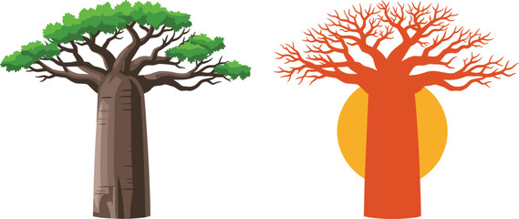 Baobab tree seasonal contrast, green foliage, autumn bare branches, nature vector, environmental concept, cad drawing, flat illustration, sunset background