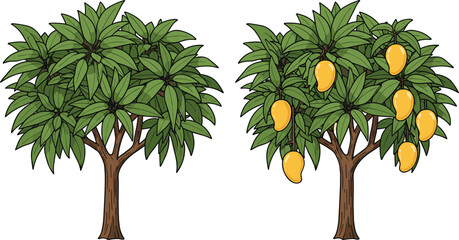 Mango tree fruit comparison, green foliage, ripe mangoes, nature vector, tropical agriculture, cad drawing, flat illustration, seasonal growth, harvest concept