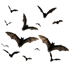 Naklejka premium Flock of bats flying silhouettes against a white background suitable for Halloween designs and spooky themes