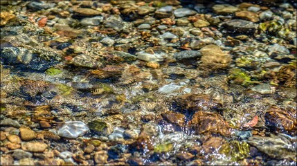 Clear stream water with colorful pebbles, in natural outdoor setting with sunlight reflections, close up, copy space.