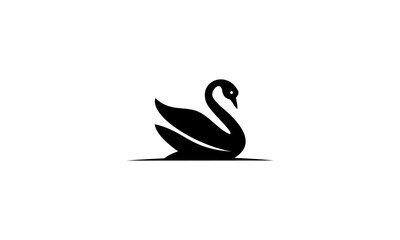 black swan vector © Mud