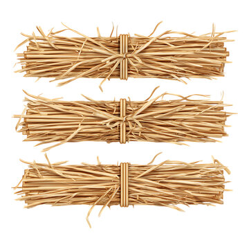 Three Bundles of Straw Tied Together on transparent background