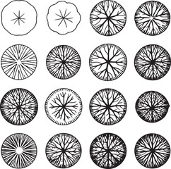 Tree top view architectural symbols