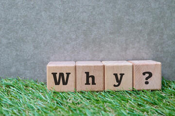 芝生の上のWhyブロックとコピースペース。問題提起イメージ。