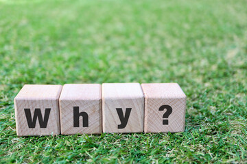 芝生の上のWhyブロックとコピースペース。問題提起イメージ。