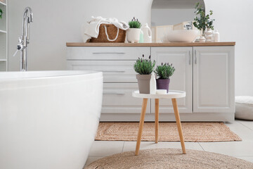 Pots with lavender flowers and cosmetic products on coffee table near bath in bathroom