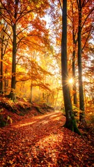 Fototapeta premium Sun shines through colorful autumnal trees in a vibrant forest