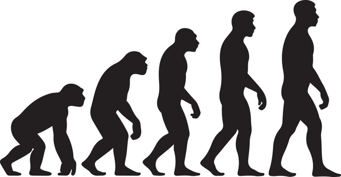 Silhouette of theory of evolution of man
