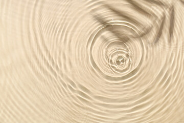 Texture of water drops and shadow of twig on beige background, closeup