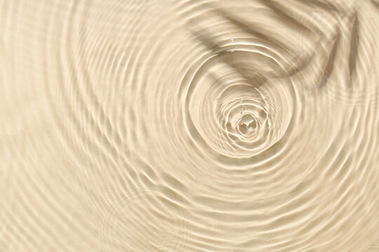 Texture of water drops and shadow of twig on beige background, closeup - Powered by Adobe