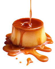Custard with caramel cascading down. Delectable dessert