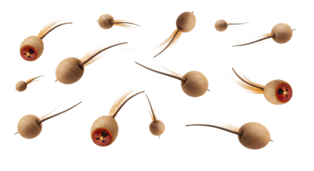 Floating Ball Decorations with Feathers on White Background