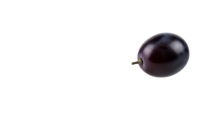 Close-up of one fresh, juicy black grape berry with a small stem, perfectly isolated on a clean white backdrop