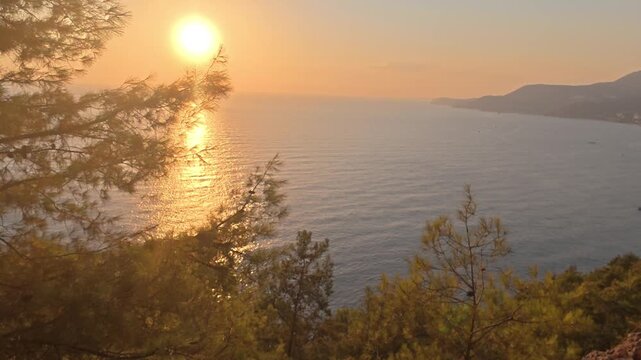 coniferous forest on the seashore, calm sunset. High quality 4k footage