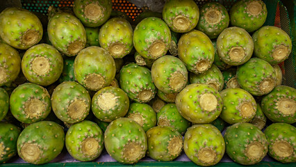 Fresh ripe prickly pears