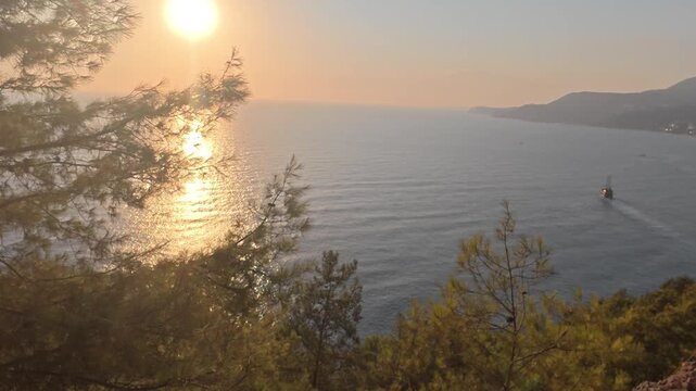 coniferous forest on the seashore, calm sunset. High quality 4k footage