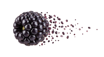 Blackberry dissolving into particles against a white background, symbolizing disintegration or transformation