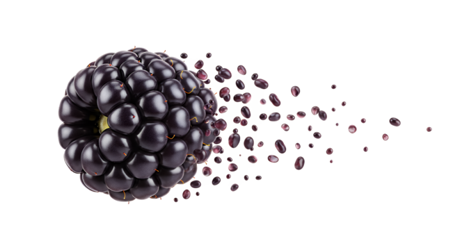 Blackberry dissolving into particles against a white background, symbolizing disintegration or transformation