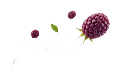 Raspberry Freshness Vibrant Berries in Motion for Healthy Eating and Visual Appeal