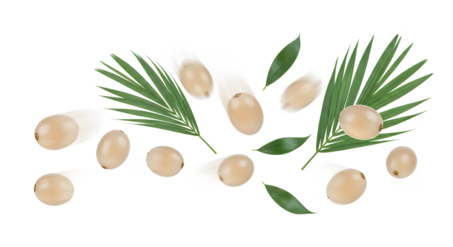 Dynamic still life capture of fresh, ripe dates or similar tropical fruits tumbling with vibrant green palm leaves, elegantly scattered against a pristine white studio background