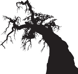 Gnarled tree silhouette with twisted branches isolated on white.