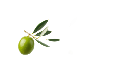 Single green olive with leaves on a white background, representing healthy food and Mediterranean cuisine