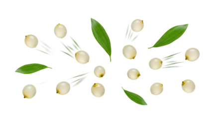 Scattered white seeds with green leaves, suggesting growth and nature's bounty