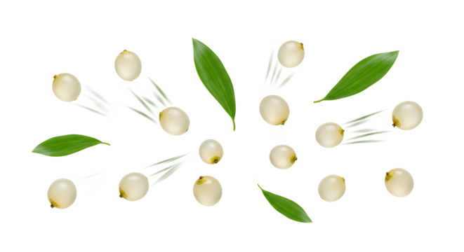 Scattered white seeds with green leaves, suggesting growth and nature's bounty