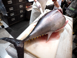 本マグロの解体ショー