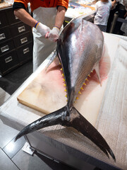 本マグロの解体ショー