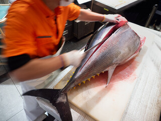 本マグロの解体ショー