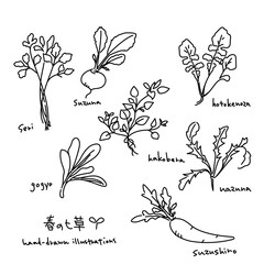 Spring Seven Herbs Illustration Set - Black Line Art