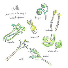 Spring wild vegetable illustration set: Hand-drawn watercolor-style warm illustrations