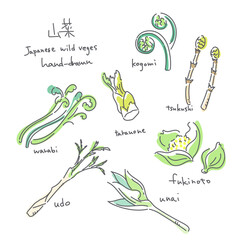 Spring wild vegetable illustration set: Simple and stylish line drawings