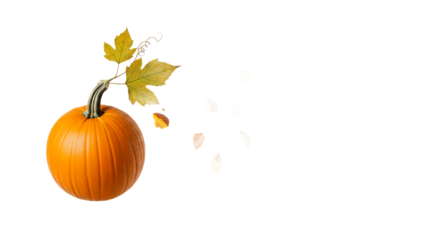 Bright orange pumpkin with lush green vine and golden fall leaves, symbolizing harvest, autumn celebrations, and seasonal decor against a pristine white backdrop