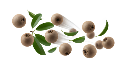 Floating Fresh Longans with Green Leaves - Delicious Tropical Fruits